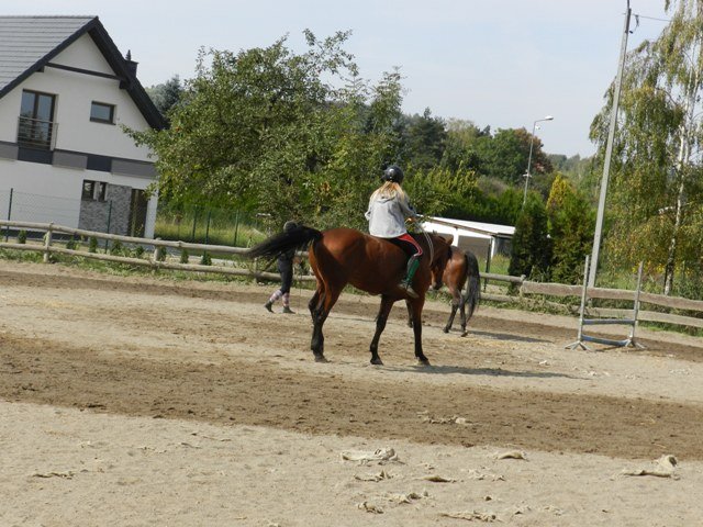 Babie Lato 2016